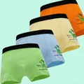 Pack of 4 boys cotton boxer briefs in orange yellow blue and green with dinosaur print - M