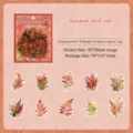 Autumn themed leaf stickers set 20pcs waterproof PET material for DIY journals - Pack of 20 / Autumn Cool