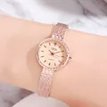 Women's vintage rose gold quartz watch with mesh strap and snake-textured dial - Rose Gold Case Rose Gold Dial