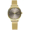 Orologio GEDI ovale oro minimalista con quadrante grigio e cinturino mesh - Cinturino Oro Quadrante Grigio