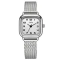 Elegante silberne quadratische Quarzuhr für Damen mit Mesh-Armband und weißem Zifferblatt - Silbergehäuse Weißes Zifferblatt