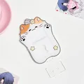 Süßer orange-weißer Acryl-Katzenfotohalter mit Stern- und Regenbogen-Displaybasis - Katze