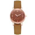Detailed close-up of brown suede watch strap and rose gold quartz watch face - Brown
