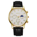 Detailed macro view of Geneva men's watch with golden case, white dial and moon phase - White Dial Black Strap