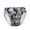 Detail der wasserdichten Baby-Schwimmwindel mit Dinosaurier-Print und Rüschenkante - 2XL / Unterteile / Schwarzer Dinosaurier