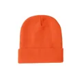 Klassische dicke Rippstrick-Beanie in leuchtendem Orange für warmen Winterkomfort - S / Orange