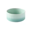 Ceramic pet bowl with mint green and lake blue gradient finish for cats and dogs - Small / Straight Bowl Gradient Green