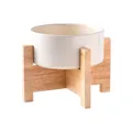 Bol en céramique minimaliste avec support en bois robuste pour chats et chiens en blanc - Bol avec Support en Chêne Surélevé / Blanc Crème Brillant / S