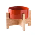 Bol pour animaux en céramique rouge brillant avec support en bois croisé stable - Bol avec Support en Chêne Surélevé / Rouge Brun Brillant / S