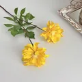 Elegant pair of yellow silk dahlia flowers with green leaves and a vintage frame - Yellow