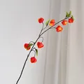 Einzelner Stiel realistischer orangefarbener Lampionblumen mit Stofftextur und Blättern - Dunkelorange