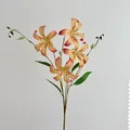 Lifelike 3D tiger lily in vibrant orange with four flower heads and green stem - Orange