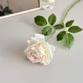 Realistic artificial cream rose with pink edges on a long green stem for home decor - White Pink Edge