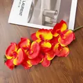 Dettaglio di un'orchidea artificiale realistica a 8 teste con petali rosso-gialli - Tramonto Primaverile