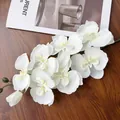 Primo piano di un ramo di orchidea artificiale bianca con petali realistici e pistillo - Bianco Primavera