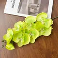 Dettaglio dell'orchidea artificiale verde lime con petali e boccioli su legno scuro - Verde Primavera