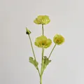 Realistic artificial poppy flower spray in pale yellow-green for home decoration - Green