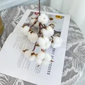 Natural dried cotton branch with ten fluffy white bolls for Nordic home vase decoration - Multi-Prong Cotton Branch (Spec)