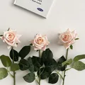 Three premium soft-touch artificial roses in pale pink for minimalist home decor - Champagne