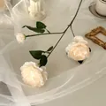 Three-headed artificial cream peony spray with two open blooms and one small bud - Champagne