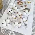 Natural dried white cotton flower heads on open magazine for home decor DIY - Single Cotton Heads Pack (Spec)