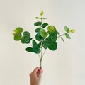 Artificial eucalyptus plant with deep green leaves and detailed silk screen veins - Premium Silk Screen 4-fork