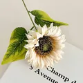 Girasol artificial realista en blanco crema para decoración del hogar y fotografía - Champán