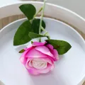 Fluwelen kunstmatige roos in roze verloop met bladeren in een witte ronde schotel - 7.5cm / Fluweel Roos Donkerroze