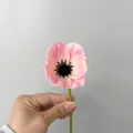 Fiore di papavero finto in PU rosa con stelo realistico per decorazione d'interni - Rosa