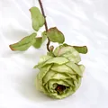 Kunstmatige avocadogroene roos van zijde met realistische blaadjes voor huisdecoratie - Groen