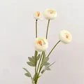 Artificial Persian Buttercup flower with 4 heads in cream white for home decoration - White