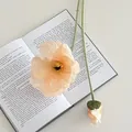 Künstliche hellorange Mohnblume mit beflocktem Stiel auf einem offenen Buch - Champagner