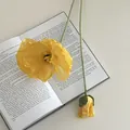 Fiore di papavero giallo artificiale con stelo verde floccato su un libro aperto decoro - Giallo