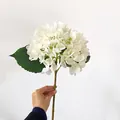 Single white artificial hydrangea flower with green leaf and long textured stem - White