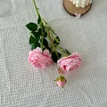 Bouquet de pivoines en soie rose avec deux fleurs et un bouton pour décorer la maison - Rose