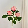 Künstliche europäische Rose in Hellrosa mit drei Blütenköpfen und grünen Blättern - Herbstrosa