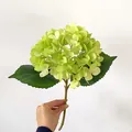 Single stem artificial hydrangea in fresh light green with silk petals and leaves - Green