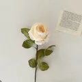 Artificial cream burnt-edge rose branch with green leaves for home decor - White