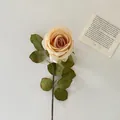 Realistic champagne artificial rose with burnt edges and vintage cream petals - Champagne