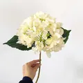 Single stem artificial hydrangea in creamy white with realistic green leaves for decor - Champagne