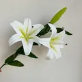 Einzelner realistischer weißer Lilienstiel mit zwei Blüten und einer grünen Knospe - Weiß