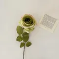 Rosa artificial verde vintage con bordes quemados y textura sobre papel retro - Verde
