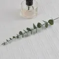 Artificial dark green eucalyptus stem with frosted texture for home decoration - Dark Green (25cm)