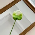 Realistic green and white 3D printed Anthurium flower stem with heart-shaped petals - White Green