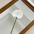 Single white 3D printed artificial anthurium flower stem for home decor display - White