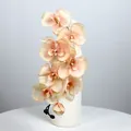 Ramo di orchidea artificiale con 8 teste color champagne chiaro in un vaso bianco - Champagne Autunno