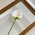 3D printed artificial anthurium flower in pink and green gradient with wooden mirror - Light Green
