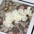 Orchidea Phalaenopsis artificiale bianca a 8 teste per decorazioni domestiche eleganti - Bianco Autunnale