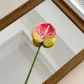 Kunstmatige anthurium met 3D-geprinte roze-groene gradiënt bloem voor interieur - Rozerood