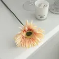 Single apricot faux gerbera daisy with green stem for minimalist home flower decor - Champagne Pink